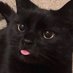Witov (@witov_) Twitter profile photo Witov (@witov_) Twitter profile photo