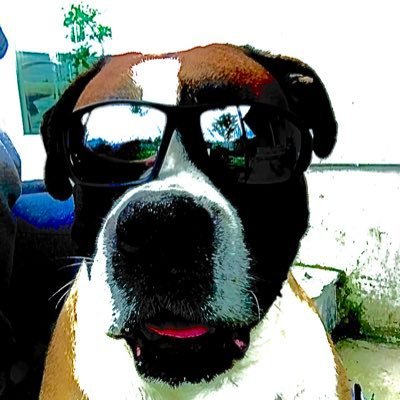 jaquecpi's profile picture. 