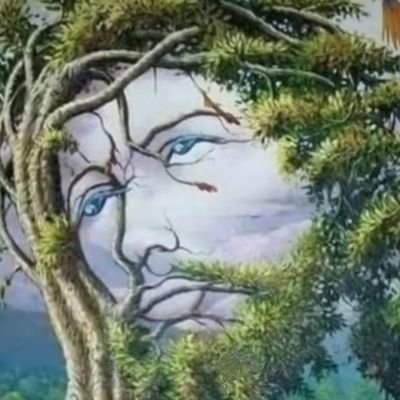 BUZULUDQXWrv's profile picture. 