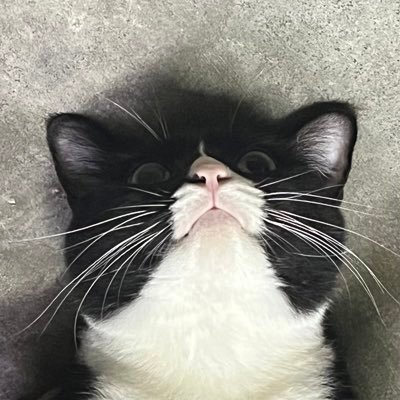 aimnslm's profile picture. she’s rich and have lots of moneh