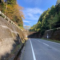 シゲ (@ttshigeshige) 's Twitter Profile