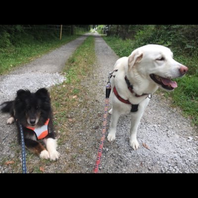 Haruma1421's profile picture. 