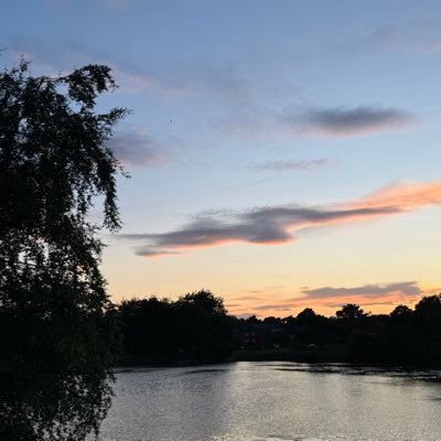 Yankz_Minteh's profile picture. 