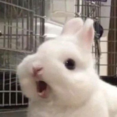 ⠀⠀ ⠀⠀⠀⠀⠀⠀⠀⠀⠀⠀⠀⠀⠀ ⠀⠀⠀ ⠀⠀⠀⠀⠀⠀ ⠀⠀⠀⠀⠀⠀made by heart ♡⠀⠀⠀⠀⠀⠀⠀⠀ ⠀⠀⠀ ⠀⠀⠀⠀⠀⠀ ⠀⠀⠀⠀⠀