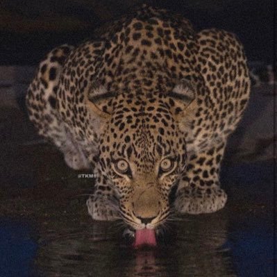 Gustavo69030095's profile picture. Enjoy me