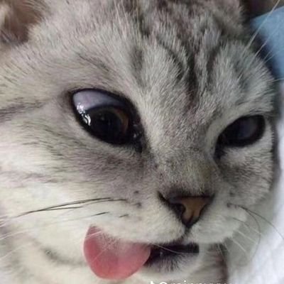Leon_Nyawさんのプロフィール画像