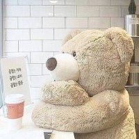 くま (@kuma_bear_bar) 's Twitter Profile