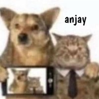 Γ (@pandegalihhh) 's Twitter Profile Photo