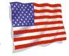 KAG - Conservative patriot devoted to protecting and preserving our US Constitution and our National Borders, demanding legal elections. Irish/English ancestry.