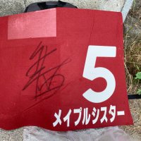 つばさ (@tsubasa_himeji) 's Twitter Profile Photo