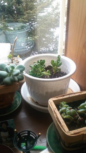 yuukimaieternal's profile picture. Me Name Real Monkey.Born&Grew up Sennsyu.Respect Eek A Mouse & Masta.S & Sami-T & General L & Prince Bus & Sammy Levi & Culture & King Kong & Tiger & Don Gor