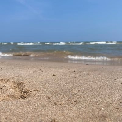 Erika28746916's profile picture. 