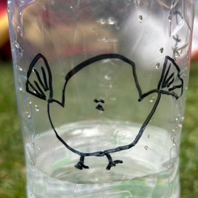 che_asp's profile picture. 夏舞徒復帰の民