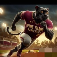 Pine Island Baseball (@pihardball) 's Twitter Profile