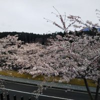 うめ (@r0p0s1hvetblpou) Twitter profile photo