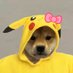Will ✧ (@willnotclap) Twitter profile photo Will ✧ (@willnotclap) Twitter profile photo