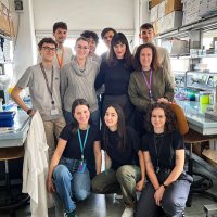 Graziella Messina's Lab (@graziellamessi1) 's Twitter Profile