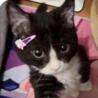 miirva (@miiirva) Twitter profile photo