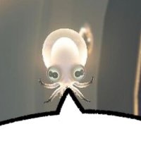 Comrade (@comrade_spl) 's Twitter Profile Photo