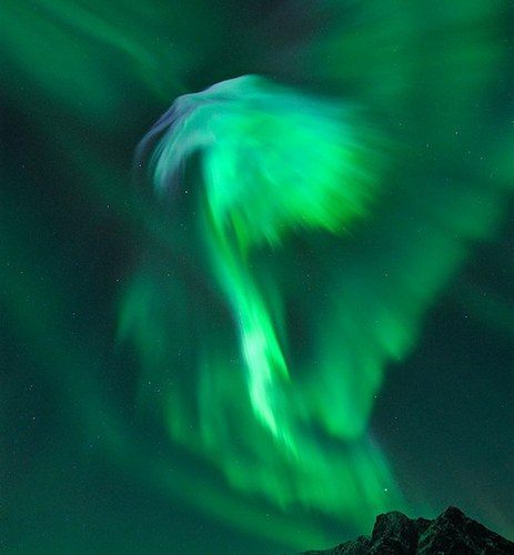 jadeeeles's profile picture. we are, all of us, made of stardust!