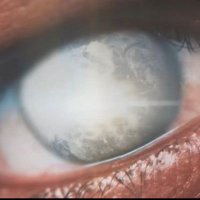 ALBALBALB2 (@albalbalb7777) 's Twitter Profile