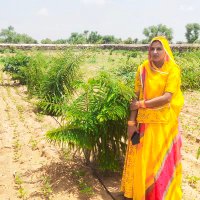 sunita Choudhary (@sunitachou58731) 's Twitter Profile