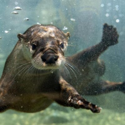 gravity_2089's profile picture. log78^2334