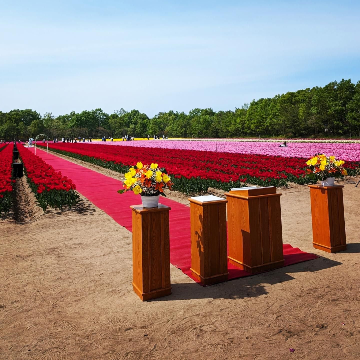 wildfowlmi98633's profile picture. 