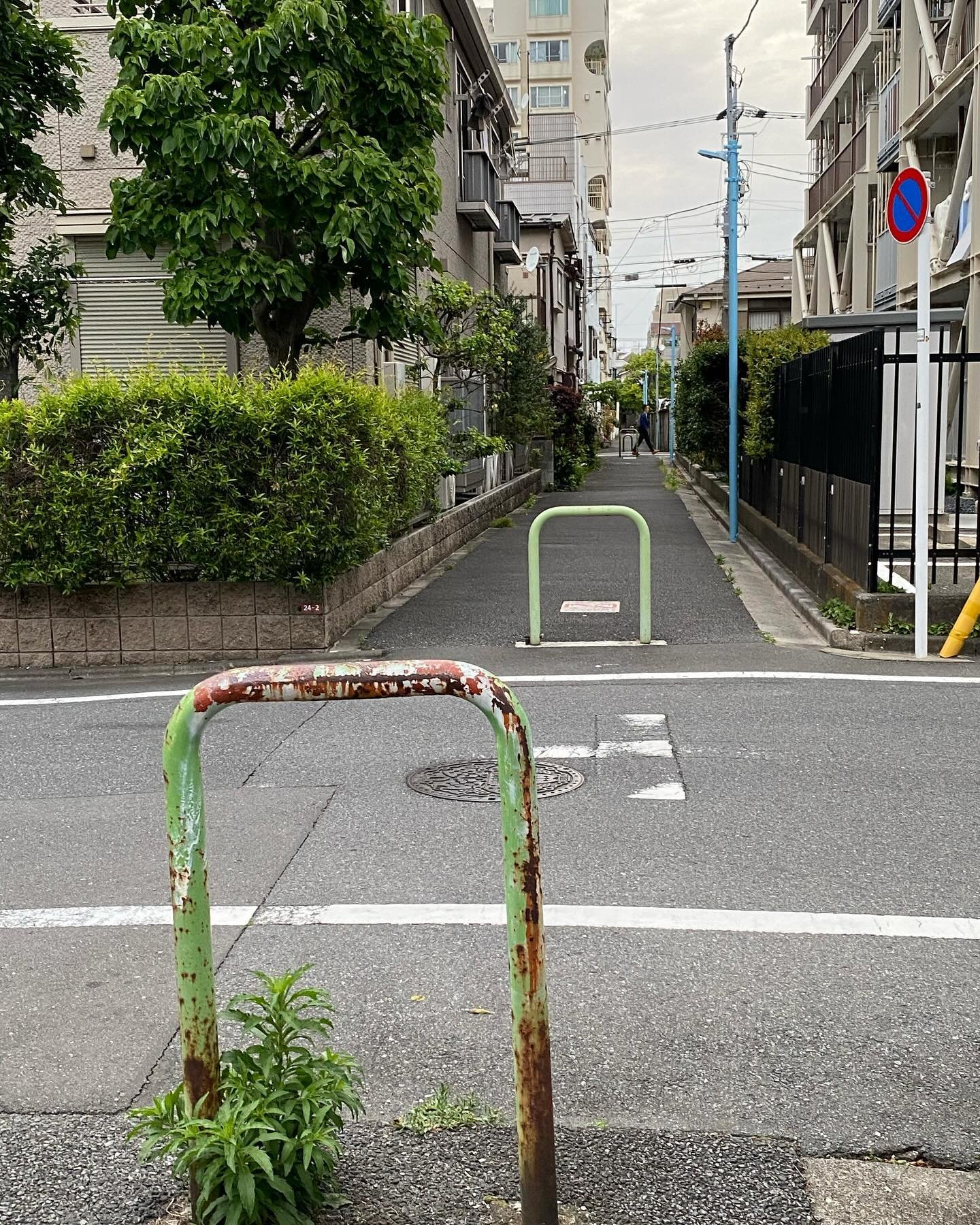 Simon9653188232's profile picture. 