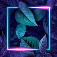 Ace the dragon (@acethefootgod) 's Twitter Profile Photo Ace the dragon (@acethefootgod) 's Twitter Profile Photo