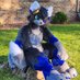 Cyber Di Wolf ~ Floof King (@cyberdiwolf) Twitter profile photo Cyber Di Wolf ~ Floof King (@cyberdiwolf) Twitter profile photo