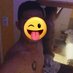 🖕versafucker🫣 (@khazgermo) Twitter profile photo 🖕versafucker🫣 (@khazgermo) Twitter profile photo