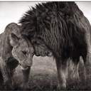 Harrison Clayton - @Desiof4 - Twitter