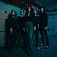 Caracal (@caracalnoise) 's Twitter Profile