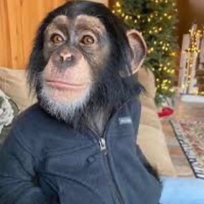je théorise des trucs que des gens ont déjà théorisé depuis des années et je le tweet ici comme une révélation 😔 #fraude