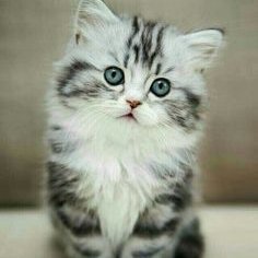 Juice23o's profile picture. 