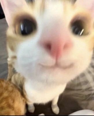 lvjAaa97pHw6xDP's profile picture. たまに稼働するエロポスト中継所