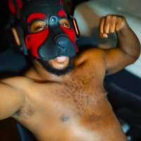 Pup Arcane ➡️ FWA❓May 8-11 (@arcanepuppy) 's Twitter Profile