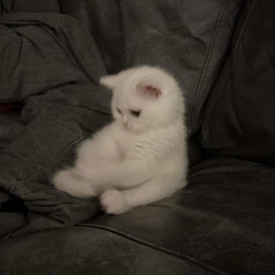 hamutamasand's profile picture. 