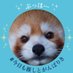 Shin🐾 (@vamos2310) Twitter profile photo Shin🐾 (@vamos2310) Twitter profile photo