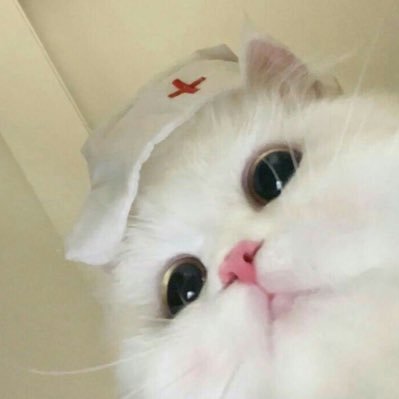 Lilicutes's profile picture. nsfwtwt | 21 | She/her