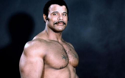 MadSquareGarden's profile picture. follow @dharamdesai