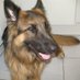 Ann Bibb (@bibbann50325) Twitter profile photo Ann Bibb (@bibbann50325) Twitter profile photo