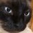 smolbungus's profile image