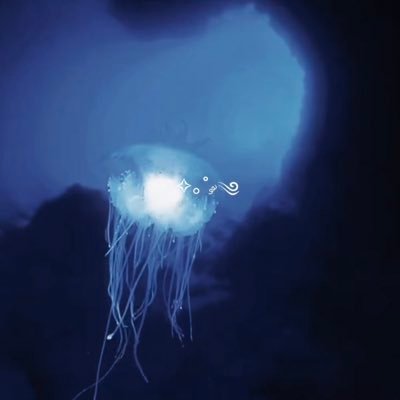 ishii_003's profile picture. 