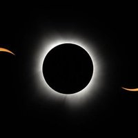 WuKong (@littlewukong01) Twitter profile photo