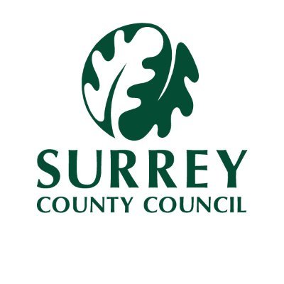 Surrey County Council Customer Services Profile