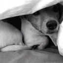 John Ide - @john_ide - Twitter