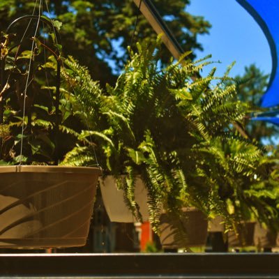 Mysiv2's profile picture. Michigan gay male, 18 years old. DM me if you’re in Michigan and wanna chat