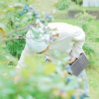 鎌田裕樹|有機農家、文筆業 (@tuning_books) 's Twitter Profile